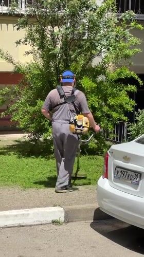 Morning scenes captured in Krasnodar: maintenance work, blooming roses