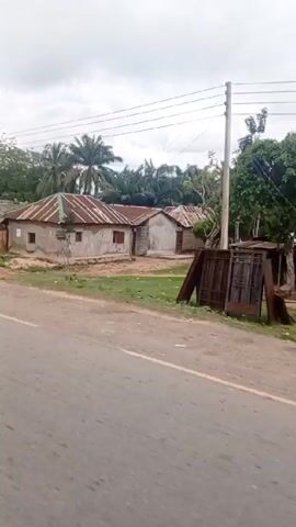 The video depicts a roadside scene, likely in a rural or developing area. The camera is moving, suggesting it's being filmed from a vehicle traveling on the road. Initially, there are small, simple dwellings visible, constructed with basic materials like mud bricks and corrugated metal roofs. The landscape includes trees, including palm trees.  As the video progresses, a man on a motorcycle comes into view, heavily laden with multiple large containers stacked and strapped to the back of his bike. He is wearing an orange shirt and a patterned cap. The video then shows small roadside shops or stalls, also constructed from basic materials. There are other parked motorcycles and at least one car in the vicinity. The sky is overcast.