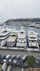 Street activity and traffic captured across Monaco city center