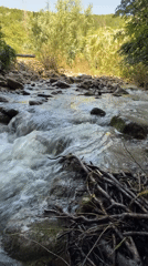 Riverside camping and grilling documented in Stara Rechka, Bulgaria
