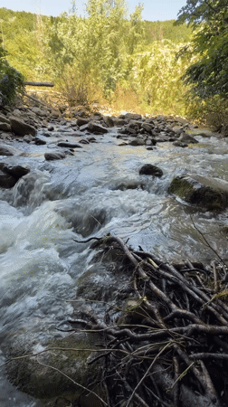 Riverside camping and grilling documented in Stara Rechka, Bulgaria