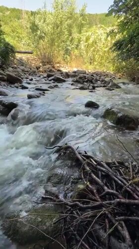 Riverside camping and grilling documented in Stara Rechka, Bulgaria