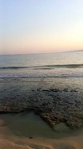 A serene beach scene unfolds as gentle waves lap against a rocky shore. The sand, a warm golden hue, gives way to dark, textured rocks that are partially submerged in the clear, shallow water. The sea stretches out towards the horizon, where a soft, pastel sky transitions from pale pink to a light blue. Distant hills or mountains are faintly visible against the sky, adding a sense of depth to the tranquil landscape. Sunlight glints off the water, creating a shimmering effect. The overall atmosphere is peaceful and natural, with no signs of human presence or activity.