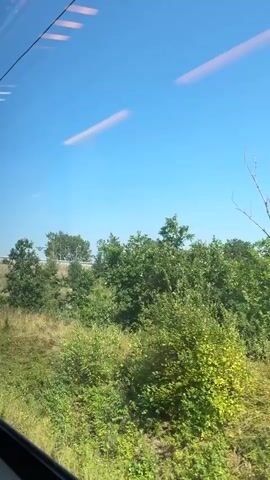 The video shows a view from a moving train. Through the window, a blue sky with some light reflections is visible. The landscape outside consists of green trees and vegetation, with some dry grass in the foreground. A concrete bridge with graffiti can be seen passing by. The train is traveling through a rural or suburban area.