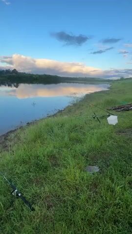 The video shows a tranquil lakeside scene. The sky is blue with scattered white clouds, which are also reflected in the still water of the lake. The shoreline is covered in green grass. Several fishing rods are placed along the bank, suggesting someone is fishing. A white bucket sits near one of the rod stands. The environment appears peaceful and serene.
