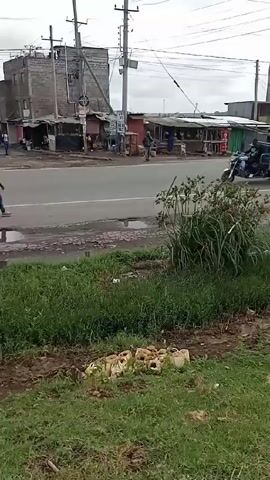 The video depicts a street scene in what appears to be a developing country. A blue three-wheeled vehicle with a flatbed is on the road. A man is driving the vehicle. The flatbed is loaded with metal rods. Another man wearing a white cap and dark jacket crosses the road, followed by another man in a grey t-shirt and baseball cap. A silver car passes by in the background. There are buildings on either side of the road. Some of the structures appear to be simple shops or stalls. The road has some visible potholes. A patch of green grass and some plastic containers are visible in the foreground. The sky is overcast, suggesting a dull or rainy day.
