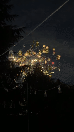 Backyard Fourth of July fireworks light up the night in Kent