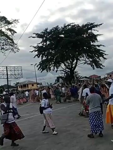 The video shows an outdoor gathering of people, possibly a festival or cultural event. Many individuals are wearing traditional African clothing, including colorful wraps and head coverings. Some people are holding what appear to be ceremonial objects or instruments. A large tree stands prominently in the center of the frame, with buildings and structures visible in the background. The sky is overcast. The camera pans across the scene, capturing the crowd and the overall atmosphere of the event.