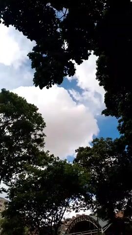 The video shows a view looking up through the canopy of dark green trees against a bright blue sky with white clouds. The trees frame the sky, with some branches and leaves visible in the foreground and along the edges of the frame. In the lower part of the frame, a glimpse of a structure with a curved roof and some white and blue elements can be seen through the trees. The scene appears to be outdoors in a park or forested area. The camera is panning upwards slightly and also possibly moving horizontally.