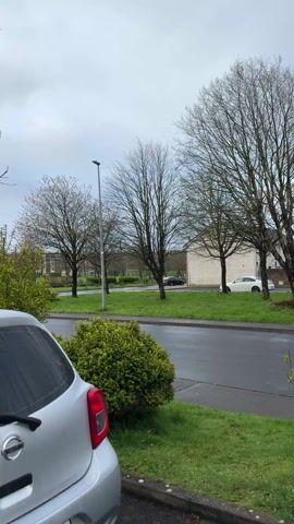 The video shows a residential street on a cloudy, likely rainy day. A silver Nissan car is partially visible in the foreground on the left. The street is wet, with parked cars on either side and a grassy median strip separating the lanes. There are trees lining the street, most of which have bare branches, suggesting it is either late fall, winter, or early spring. The houses lining the street are mostly two-story, brick or light-colored with dark roofs.  There is a green hedge in the foreground.