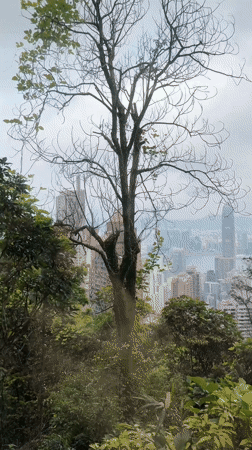 Ordinary Hong Kong moments captured across city locations