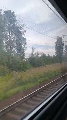 The video shows a view from inside a moving train. The train tracks are visible in the foreground, curving slightly to the right. Beyond the tracks, there is a grassy area with some vegetation, including bushes and trees. In the background, there are more trees and some overhead power lines, indicating an electrified railway. The sky is cloudy. The perspective suggests the camera is looking out of a window of the train, and the motion blur confirms the train is in transit. There are no people or animals visible in the frame. The environment appears to be a rural or semi-rural landscape.