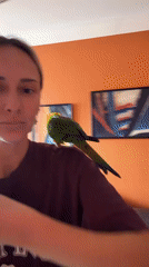 Woman poses with colorful parrot in Khimki, Russia