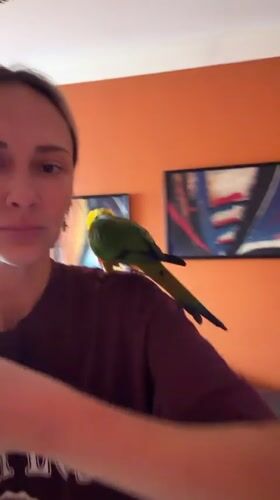Woman poses with colorful parrot in Khimki, Russia