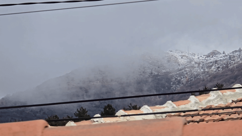 Morning observations include mountain views and dog sighting