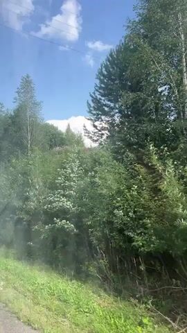 This is a short video shot from a moving vehicle. The camera is pointed out the window at a lush green forest with a bright blue sky and some white clouds above. The trees are a mix of deciduous and evergreen species, and there is tall grass growing along the roadside. The sun is shining, casting rays of light through the trees. The camera is slightly blurry, suggesting it's a continuous shot.
