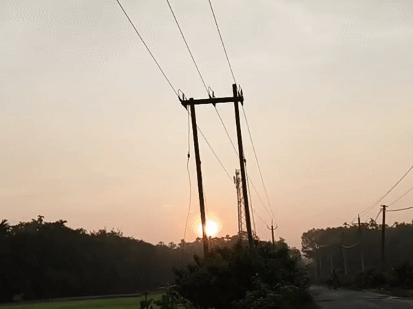 Golden hour light through foliage and fields in rural Lala