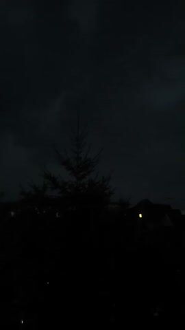 The video is a dark, still shot of a silhouette of a conical evergreen tree with branches extending outward. Behind the tree, a dark sky with subtle cloud formations can be seen. To the right of the tree, the silhouette of a house with a single illuminated window is visible. The overall scene is nighttime or dusk.