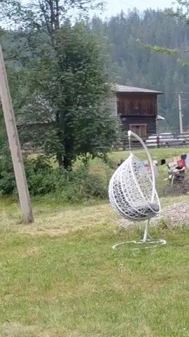 The video opens on a scenic, rural setting with lush green grass in the foreground. A white, egg-shaped hanging chair with a black cushion is prominently featured on the right, set on a metal stand. Behind the chair, a rustic wooden building, possibly a house or barn, is visible, nestled amongst trees. In the background, a dense forest covers a hillside, suggesting a mountainous or heavily wooded area.

Two utility poles stand tall on the left side of the frame. Attached to the rightmost pole are some markings that appear to be numbers and letters, potentially indicating a location or identification marker: "8.4 A.9 TH 214". A motorcycle is leaning against the poles.

The primary activity captured is the movement of a small, dark-colored animal, possibly a dog or a fox, scurrying across the grassy area between the utility poles and the wooden outhouse. The animal's quick movements suggest it is either playing or exploring its surroundings.

The lighting suggests it is daytime, with the sun casting a gentle light on the scene. The overall atmosphere is peaceful and serene, characteristic of a quiet countryside or village. The presence of the hanging chair hints at a leisurely outdoor space, inviting relaxation. The natural landscape, combined with the simple man-made elements, creates a tranquil and rustic ambiance. No people are visible in the frame.