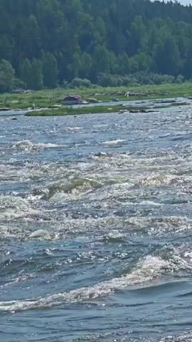 The video shows a wide, fast-flowing river with rough, choppy water. The river is bordered by a lush green treeline on the far bank, with visible rocks and some sparse vegetation along the near bank. The water is a deep blue, reflecting the sunlight, and the white foam of the rapids creates a dynamic visual. The scene appears to be a natural landscape on a bright, sunny day.