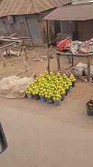 Morning market activity documented in Karshi, Nigeria