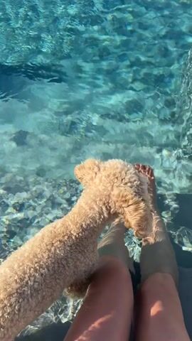 This media file captures a serene moment in a swimming pool. The primary subjects are a person's legs and feet submerged in clear, sparkling blue water, and a fluffy, light-colored poodle sitting beside them, also partially in the water. The water is shallow at the edge, allowing the bottom of the pool, with its visible rocks or tiles, to be seen through the distortion of the ripples. Sunlight refracts through the water, creating dappled patterns on the person's skin and the pool floor.

The activity is one of relaxation and companionship. The person's legs are relaxed, and the dog appears calm and comfortable, leaning against the person's leg. The setting is a swimming pool, likely outdoors given the bright sunlight that creates the characteristic water reflections. The clear water and bright lighting suggest a warm, sunny day.

Notable details include the texture of the poodle's curly fur and the human skin, both rendered with soft focus. The gentle movement of the water is evident in the shifting patterns of light. The scene evokes a feeling of tranquility and simple enjoyment. While there is no visible text, the visual elements strongly suggest a leisurely summer day in a pleasant outdoor environment. The context of Asciano, Italy, further enhances the image of a peaceful, sun-drenched locale.