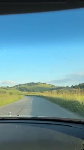 The video shows a view from inside a car driving on a paved road through a rural landscape. The road curves to the left, leading towards rolling green hills under a clear blue sky. The sun appears to be setting, casting long shadows on the road. Tall grass and trees line the sides of the road. A small, light-colored object, possibly a moon or a distant cloud, is visible in the sky. A pink butterfly decoration is attached to the car's dashboard on the left side. A person on a bicycle is visible on the road in the distance, wearing red clothing.