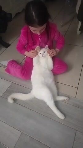 A young girl in a bright pink tracksuit sits on the floor with her legs splayed out. In front of her, also on the floor, lies a white cat on its back with its paws raised. The girl is holding the cat's paws up near her own face. The cat is looking directly at the camera. The scene is indoors, with light tile flooring that appears to be in two separate sections. Furniture is vaguely visible in the background.