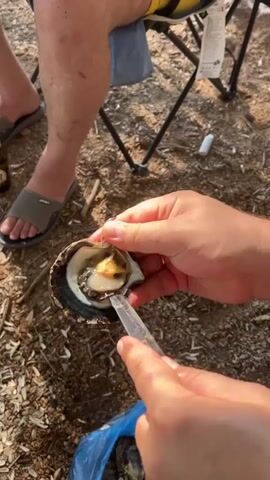 The video shows a close-up of a person's hands opening an oyster. The oyster is dark on the outside and has a pearly white and iridescent interior. A small knife is being used to pry open the shell. In the background, the legs of two people are visible, as well as a blue plastic bag and a folding chair. The ground is covered in small pebbles and dirt. The scene appears to be outdoors, possibly near a body of water.