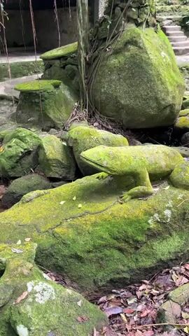 The camera focuses on a stone lizard sculpture, covered in green moss, in a lush, green environment. The lizard rests among other mossy rocks and dried leaves. There is a small, thin worm moving across the lizard's head. In the background, there is a stone structure with hanging vines.