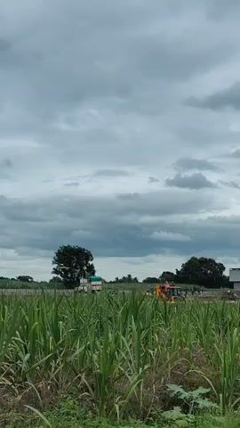 A video pans across a cloudy sky and a rural landscape. In the foreground, a concrete barrier is visible. Beyond the barrier, tall green sugarcane stalks dominate the scene. In the middle ground, there are several construction vehicles, including a yellow excavator, and a white truck. Further in the background, a large, modern building with a grey roof and white walls is situated next to a field. The sky is filled with heavy, grey clouds, suggesting an overcast or potentially rainy day. There are also some trees and foliage visible in the distance.
