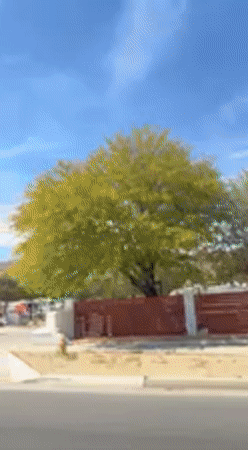 Dashboard camera captures desert drive through Yucca Valley