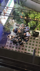 Mixed indoor-outdoor scenes documented in Bai Chay Ward, Vietnam