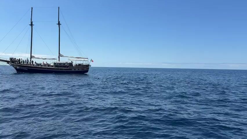 The video shows a view of a sailboat filled with people cruising on a calm, blue ocean under a cloudless, bright blue sky. The boat is sailing from left to right. The camera is moving gently with the waves.