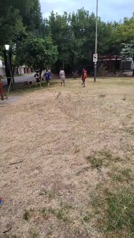 Four young people are playing a game with a soccer ball in a grassy park with scattered trees. A black dog runs into the game. There is playground equipment on the left. The grass is mostly dry. A tall light pole stands in the background.