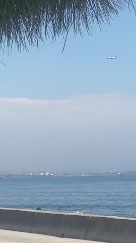 A static outdoor long shot shows an ocean with cargo ships at a distance, a concrete barrier, and some pine needles in the foreground. A white plane flies from the right, across the blue sky, with a hazy white cloud line visible below it. The ocean is blue and calm.