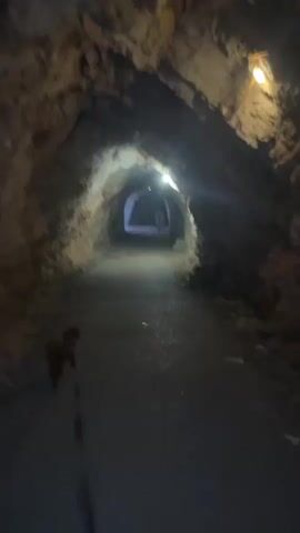 A dog on a leash stands on a dirt path inside a dimly lit tunnel. The tunnel walls appear to be rough, natural rock. Lights are visible further down the tunnel, illuminating the path and the backs of two people walking away from the camera. The dog is facing the camera and its eyes reflect light.