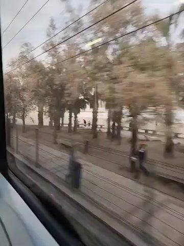 The video captures a scenic view from inside a moving train or tram, looking out a side window. The train is traveling alongside a coastline, offering glimpses of a beach and the sea.

In the foreground, a paved promenade or path runs parallel to the tracks, separated by a metal fence or railing. Trees, some appearing deciduous and bare, others identifiable as palm trees, line this path. Several individuals are seen walking along the promenade.

Beyond the path, a wide sandy beach stretches out towards the calm sea. The water appears light blue under a mostly overcast sky, with a few lighter patches visible. Gentle waves are breaking on the shore. A couple, consisting of a man and a woman, can be seen walking together on the sandy beach. In the distance to the left, a pier or breakwater extends into the sea, with what appear to be boats or marina structures faintly visible further along the coast.

The overall impression is of a quiet, mild day at the beach, seen from the perspective of a moving commuter or traveler. The location is Premià de Mar, Spain.