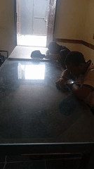 Routine street and indoor scenes documented in Ikeja