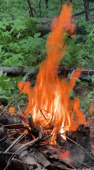 Man tends campfire in Russian forest, documents experience