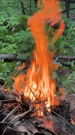 Man tends campfire in Russian forest, documents experience