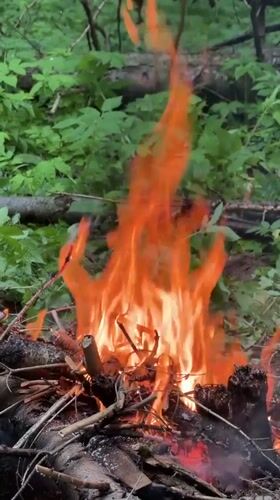 Man tends campfire in Russian forest, documents experience