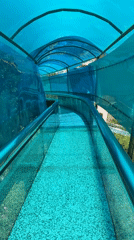 Tourists explore glass bridges and attractions in Jiejinkou China