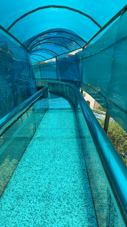 Tourists explore glass bridges and attractions in Jiejinkou China