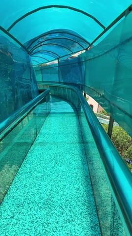 The video captures a first-person perspective of a person descending a long, enclosed, transparent slide. The slide features an arched, translucent blue canopy overhead and matching blue translucent walls that allow glimpses of the outside environment. The bottom surface of the slide is a textured, speckled turquoise or teal color, and metallic handrails run along both sides, providing a smooth path for the descent.

As the person slides down, the structure curves and winds, creating a dynamic experience. Through the translucent side panels, green foliage and trees are visible, suggesting an outdoor setting like a park or recreational area. A distant building or structure can also be briefly seen through the side. At the beginning of the ride, a voice says "Погнали" (Russian for "Let's go"), indicating the start of the adventure, followed by a playful laugh during the slide, conveying excitement and enjoyment. The bright light filtering through the canopy suggests it is daytime, likely a sunny day. The scene takes place in Jiejinkou, China.