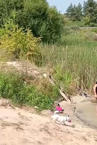 This video captures a leisurely summer day at a lakeside or riverbank in Boianivka, Ukraine. The scene is set against a backdrop of lush green reeds and trees, with a calm body of water in the foreground. The sky appears bright and clear, suggesting pleasant weather.

The main subjects are a group of people and a dog enjoying the water and the sandy shore. A young man in a black t-shirt and shorts stands on the sandy bank, partially in the water, seemingly supervising or participating in the activities. Nearby, a white dog with black spots is looking at a pink toy in the shallow water.

In the water, two young girls are present. One girl, wearing a patterned swimsuit, is standing in the water with a white inflatable ring. Another girl, in a blue swimsuit, is reaching for something in the water near an inflatable ring with blue accents. A woman in a dark blue bikini is also in the water, appearing to be with the girls.

On the sandy bank, there are a few pairs of shoes and a pink child's jacket, suggesting a day of recreation. In the background, a wooden structure, possibly a bridge or a small dock, is visible over the water. The overall atmosphere appears relaxed and joyful, indicative of a fun outing. There is no visible text in the video.