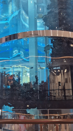 Cylindrical aquarium tank with fish and turtle, Moscow