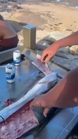 A man is filleting a large fish on a stainless steel table on a sandy beach. He is wearing a light blue t-shirt and is using a long, silver knife. A can of "HA Super Dry" beer is on the table near him. The fish has been partially filleted, revealing its red flesh. The background shows a sandy beach with scattered rocks and seaweed. In the distance, the blue ocean meets a clear blue sky. A flock of seagulls is visible on the beach near the water's edge.