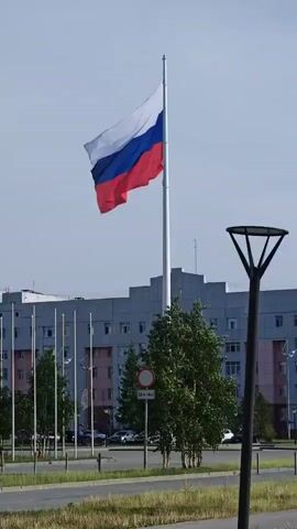 A large Russian flag flutters on a flagpole in front of a multi-story building. Several smaller flagpoles are visible to the left of the main flagpole, and trees are planted in front of the building. A street with cars parked on the side runs in front of the building. A lamppost is visible in the foreground on the right. The sky is clear and blue.