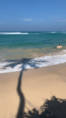 Early morning surfing activity captured at Ahangama Beach, Sri Lanka